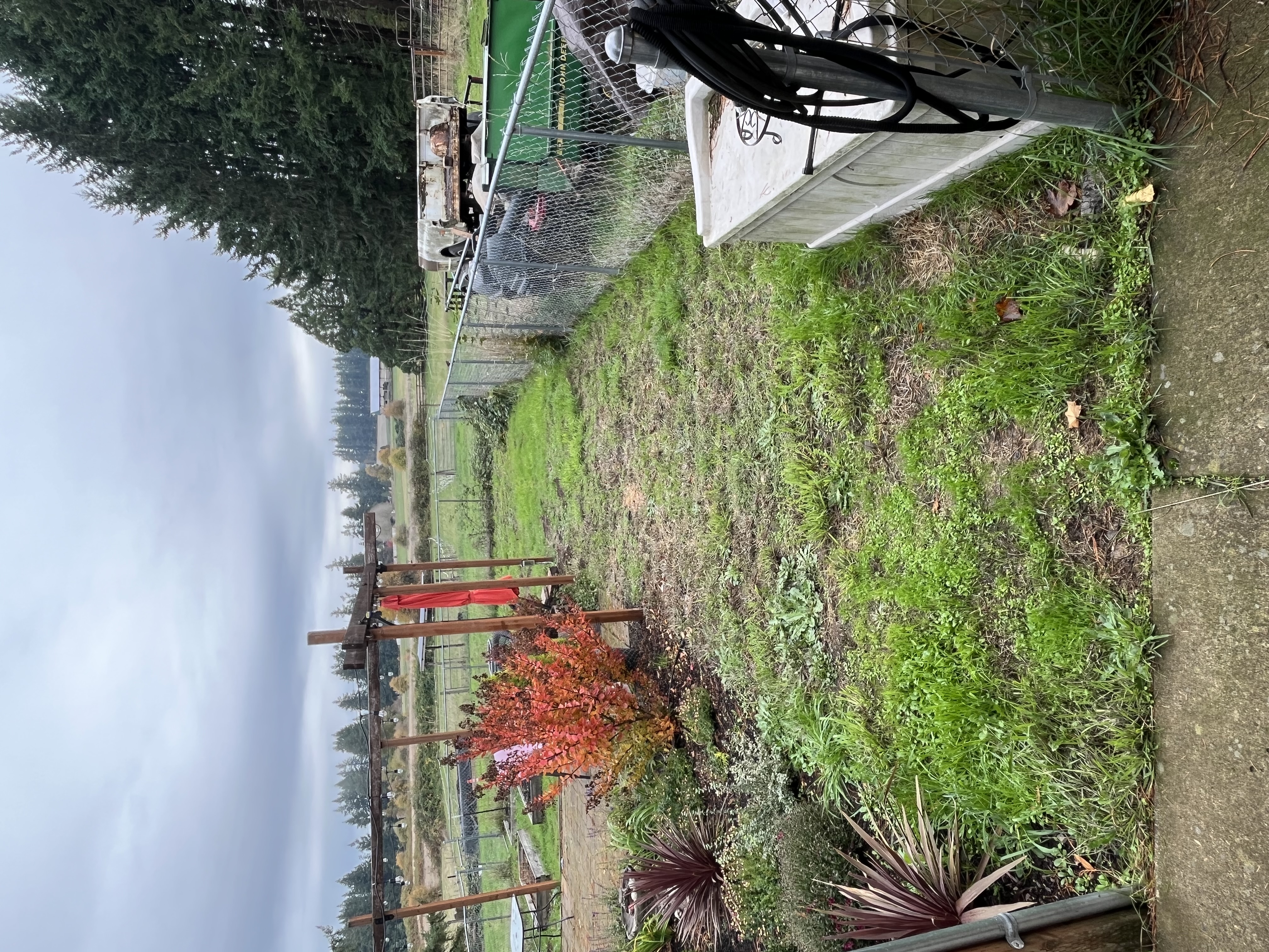 Yard before transformation